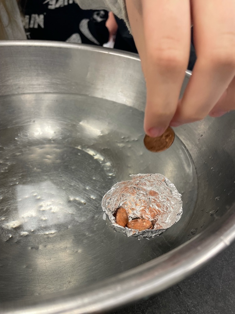 Penny Boats