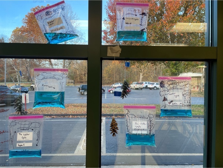 Water cycle bags and pinecone hygrometers