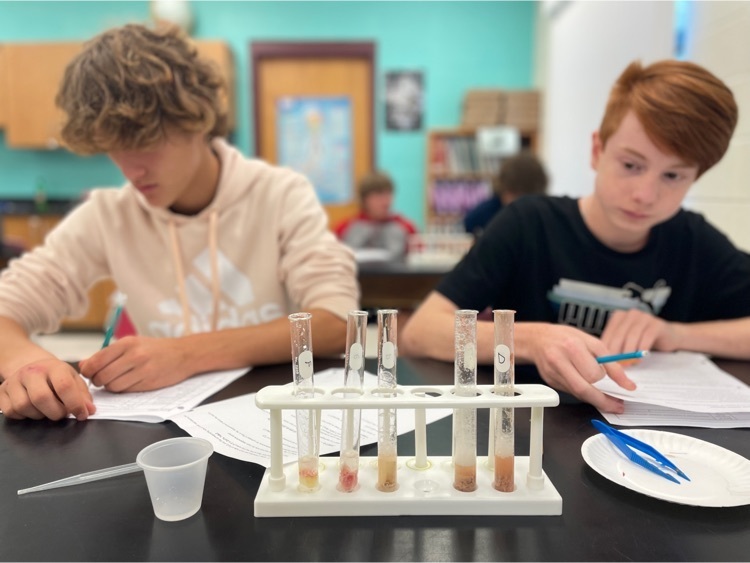 Layne and Noah study enzymes with beef liver